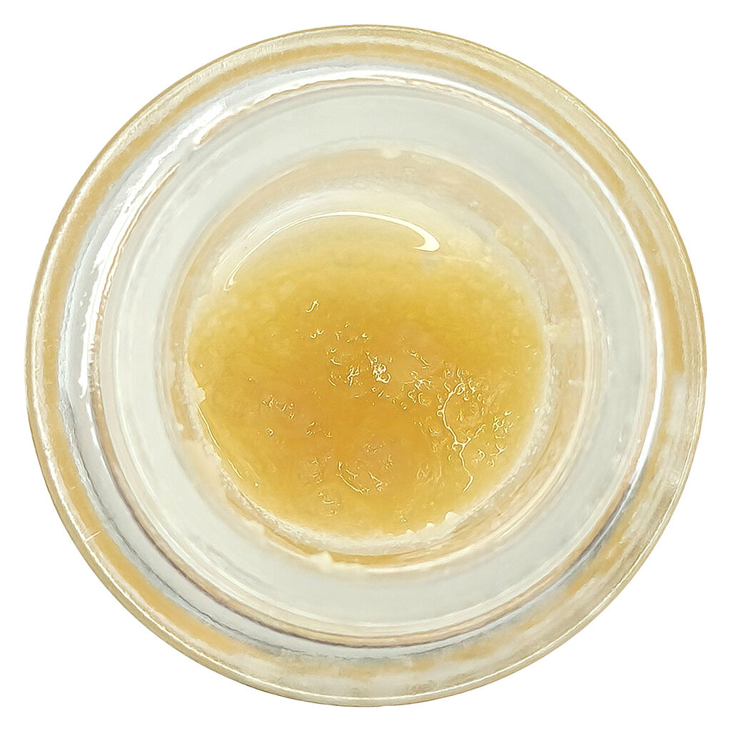 Wildcard Extracts - Forbidden Pie Live Resin - Hybrid - 1g