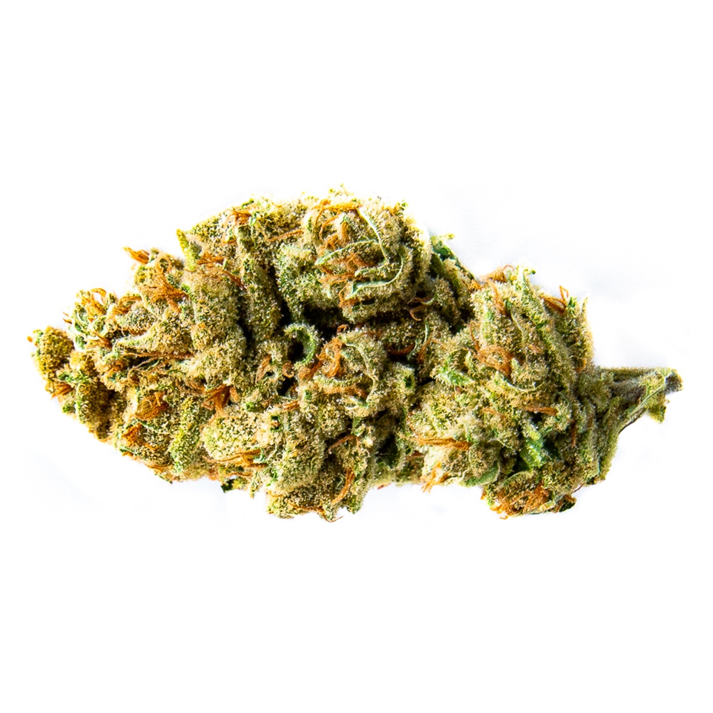 Color Cannabis - Black Sugar Rose