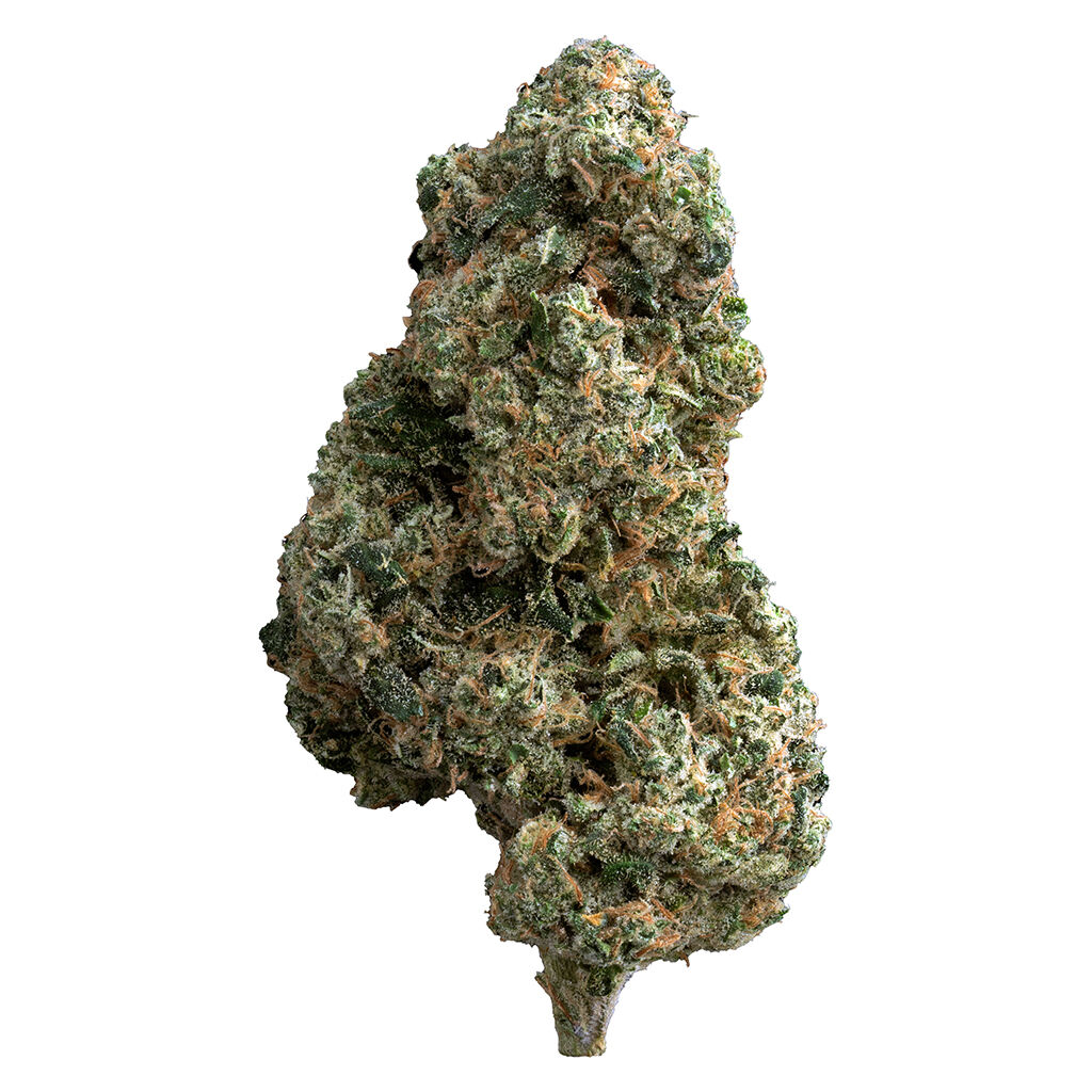 TERP GUSH - Gold Butter Mac