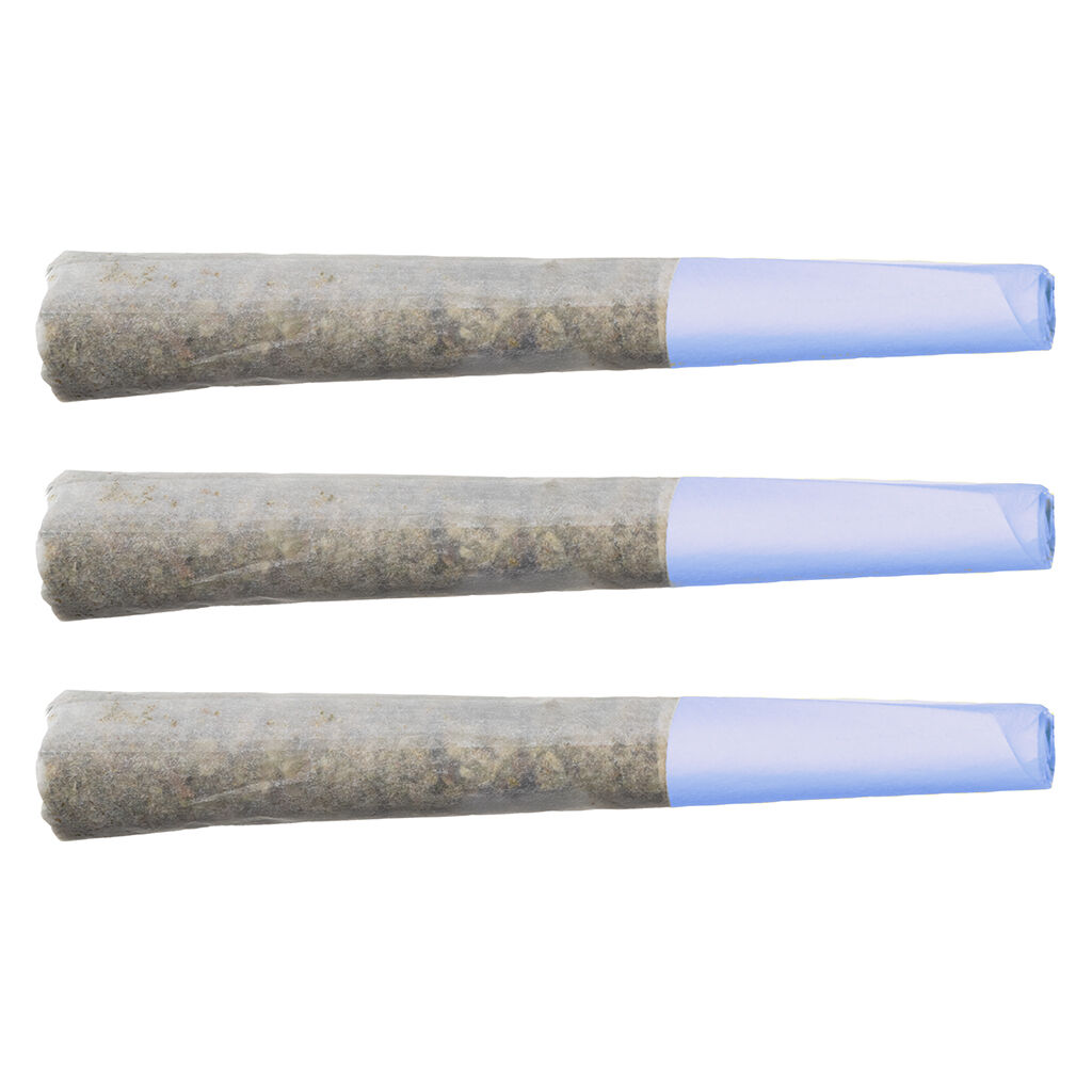 TERP GUSH - Blueberry Burst Pre-Roll - Indica - 3x0.5g