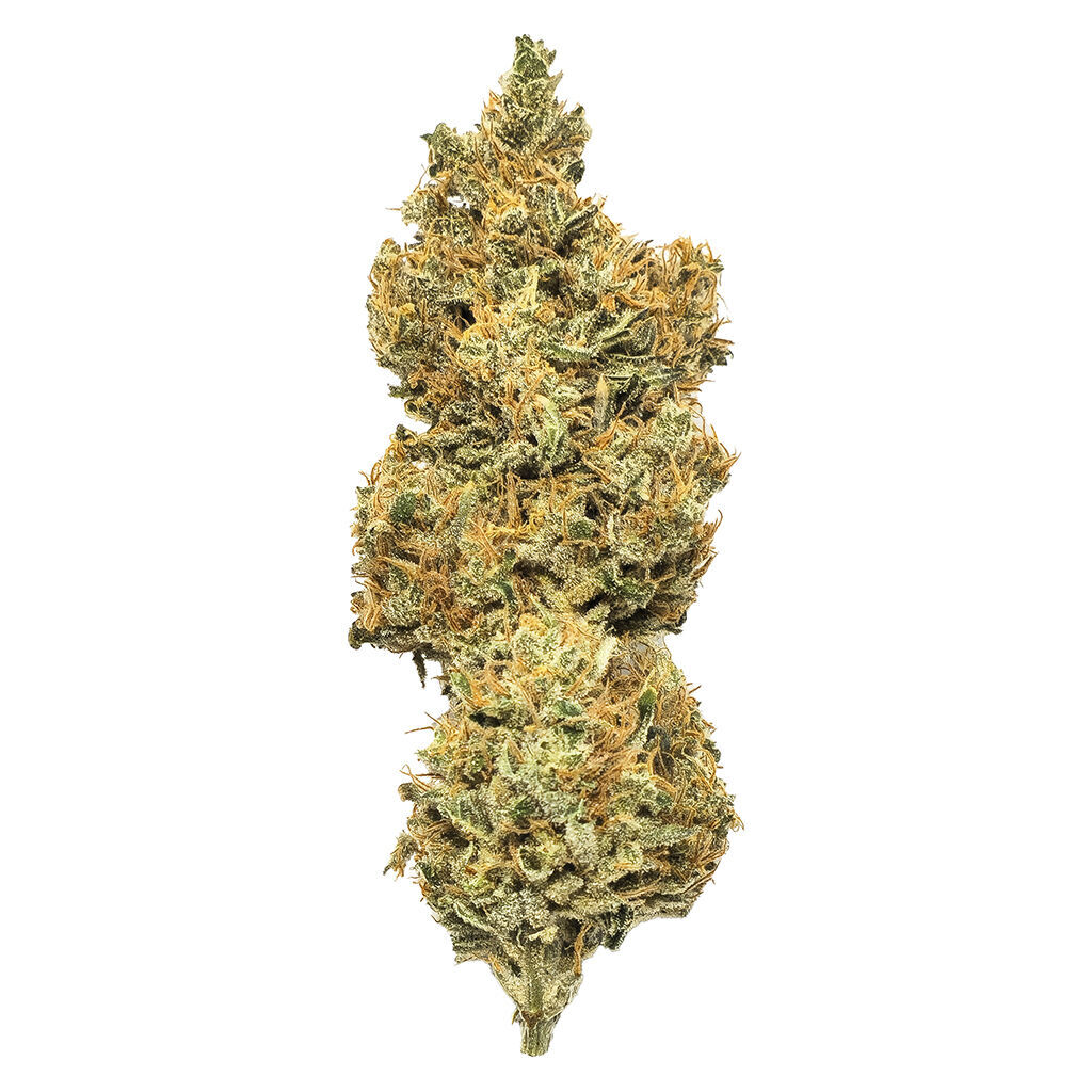 Mendo Select - Royal Moby