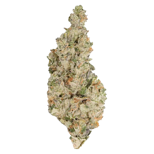 Always Toasted - Hawaiian Face