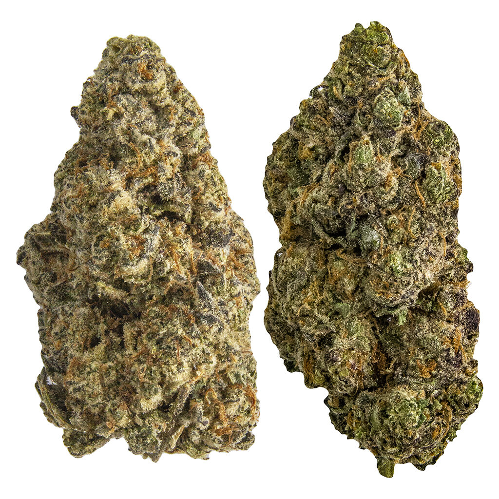 Ministry of Sativa - Landrace Multi-Pack