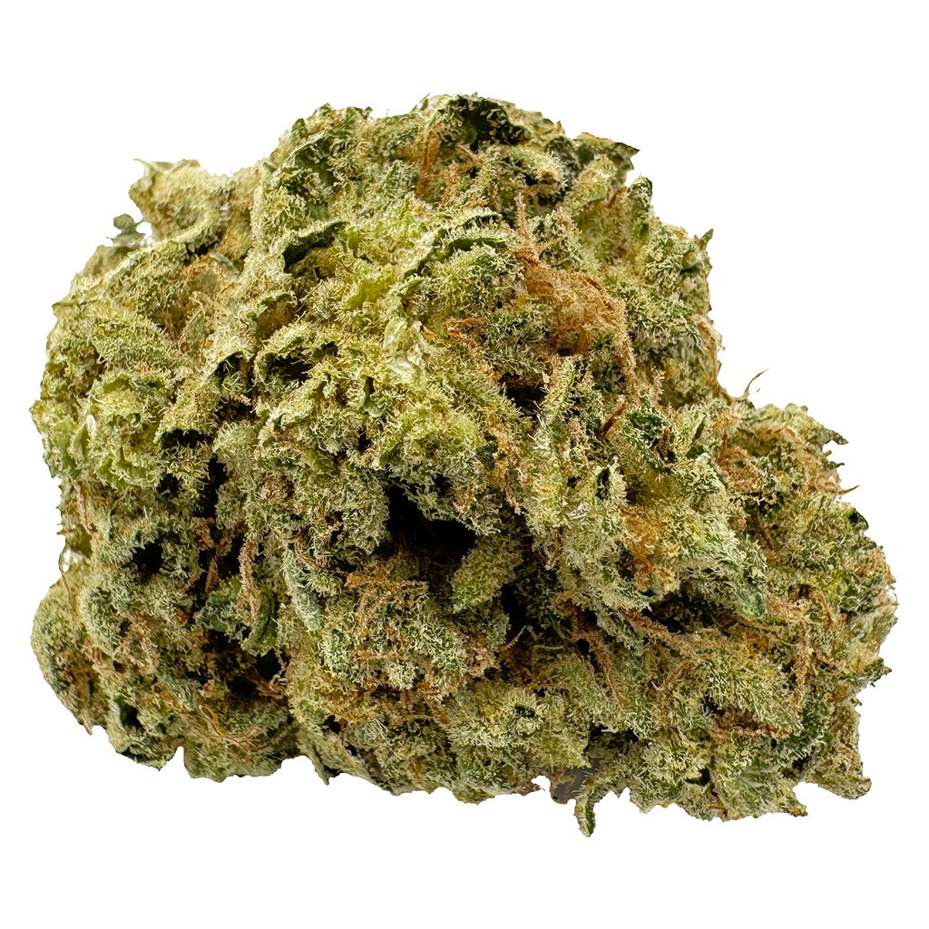 VIOLA - 1st Quarter ( Sativa)