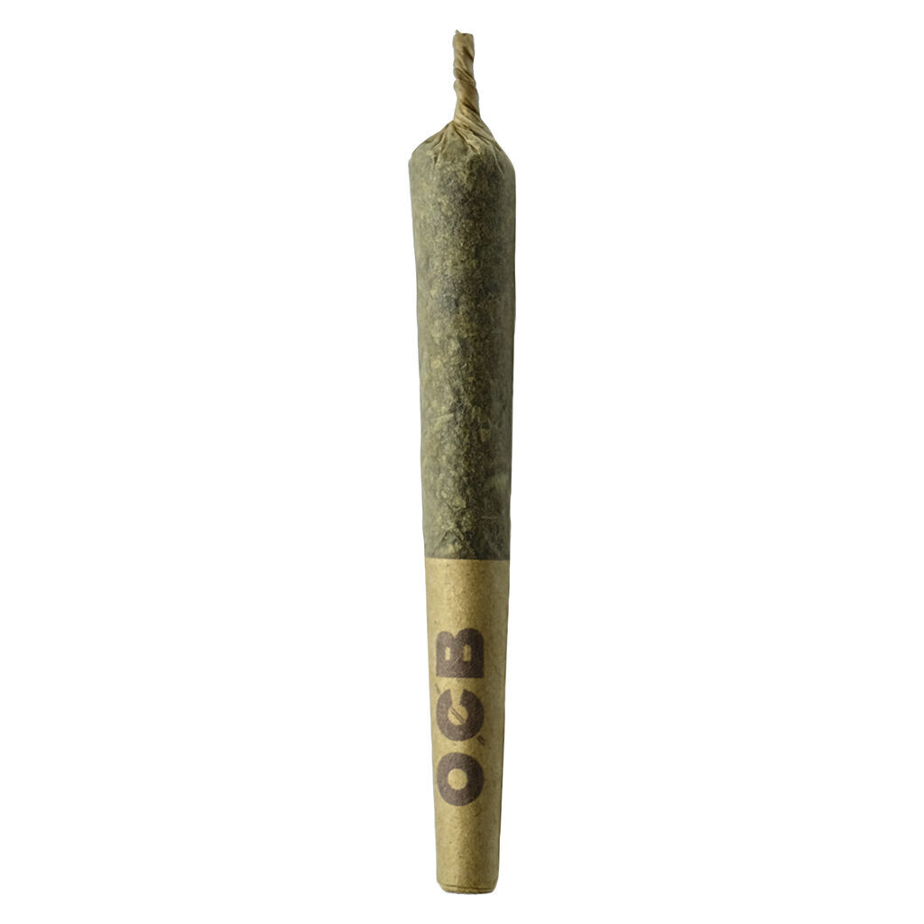 Sheeesh! - Dubble Bubba Cured Resin Infused Pre-roll - Indica - 3x0.5g