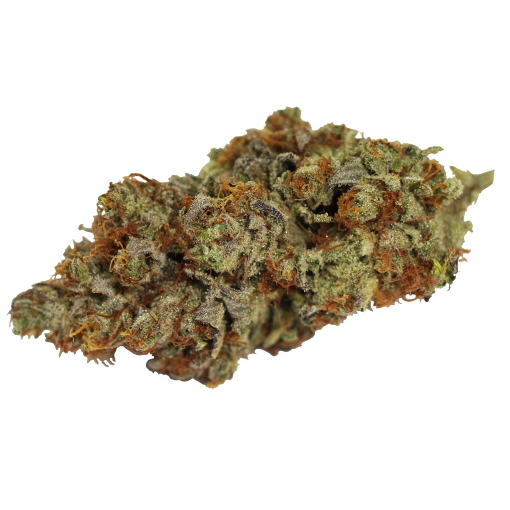 WINK - TANGERINE COOKIES