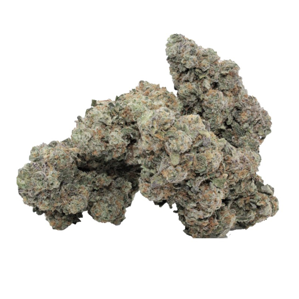 RC Supply Co. - Jet Fuel Flo