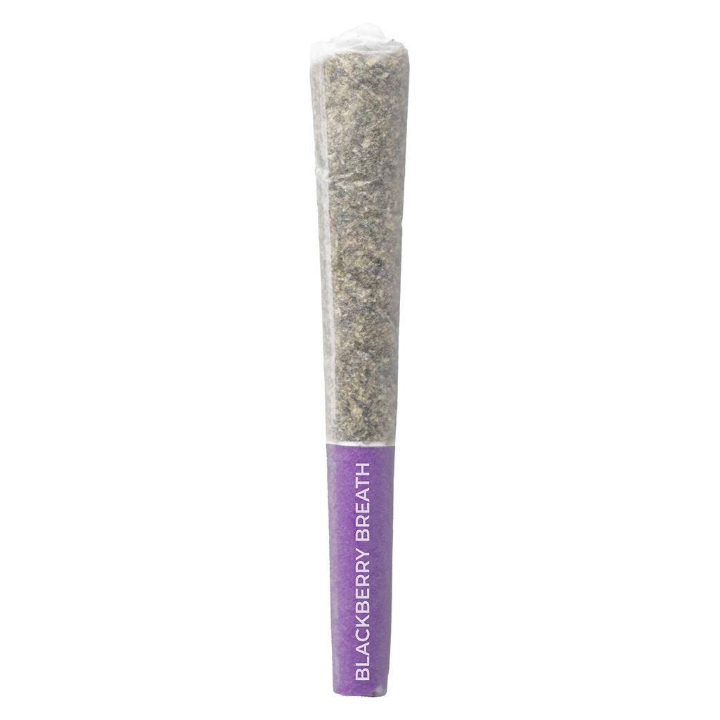 Pistol and Paris - Blackberry Breath Pre-Roll - Indica - 3x0.5g