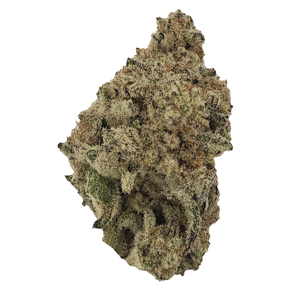 Color Cannabis - Jazzberry