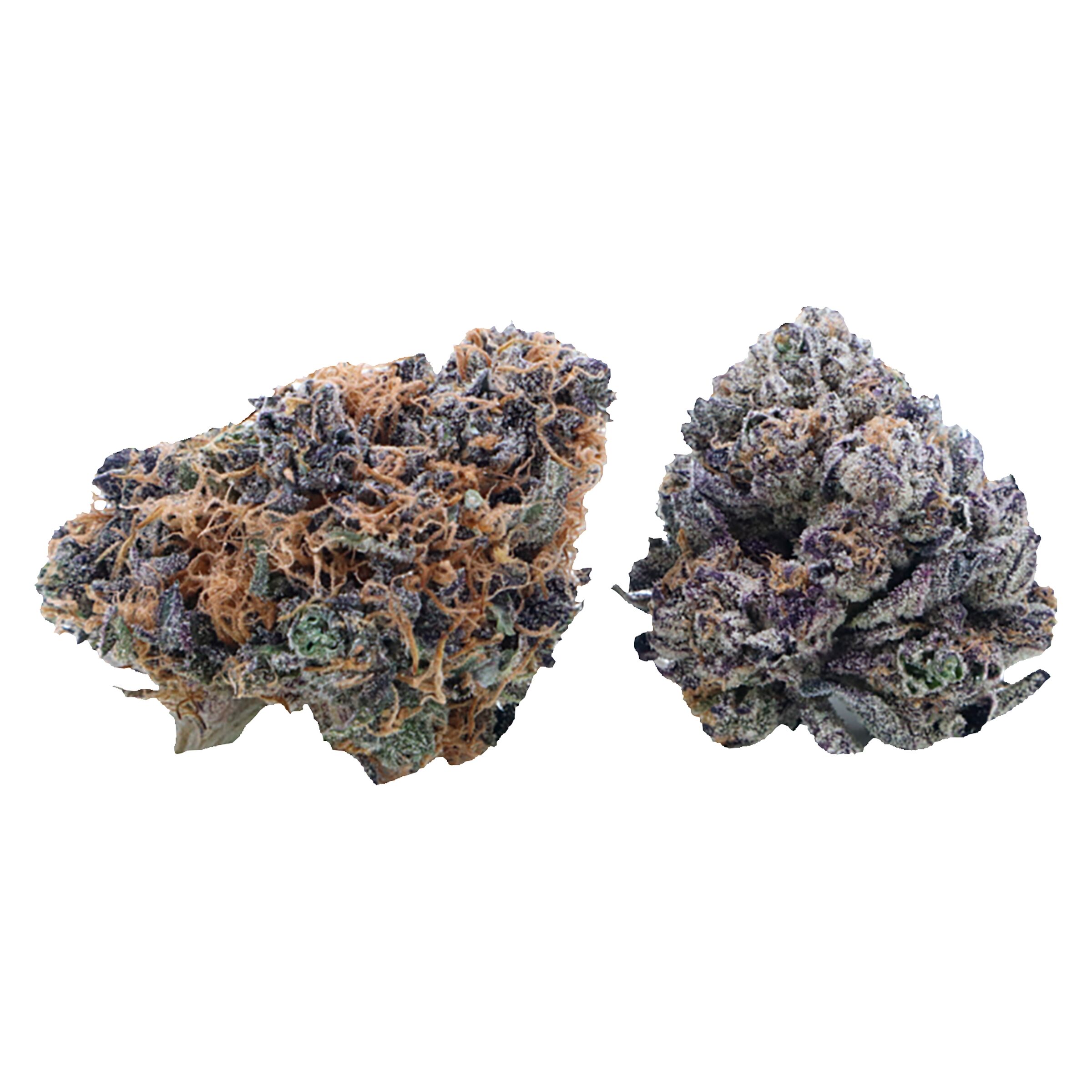 Valhalla Flwr - Day & Night Duo Pack
