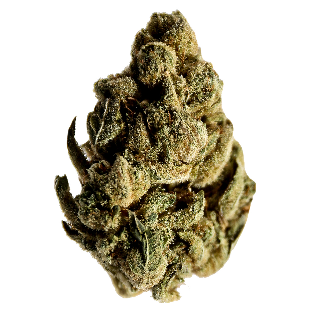 Potluck - Gingerbread Kush