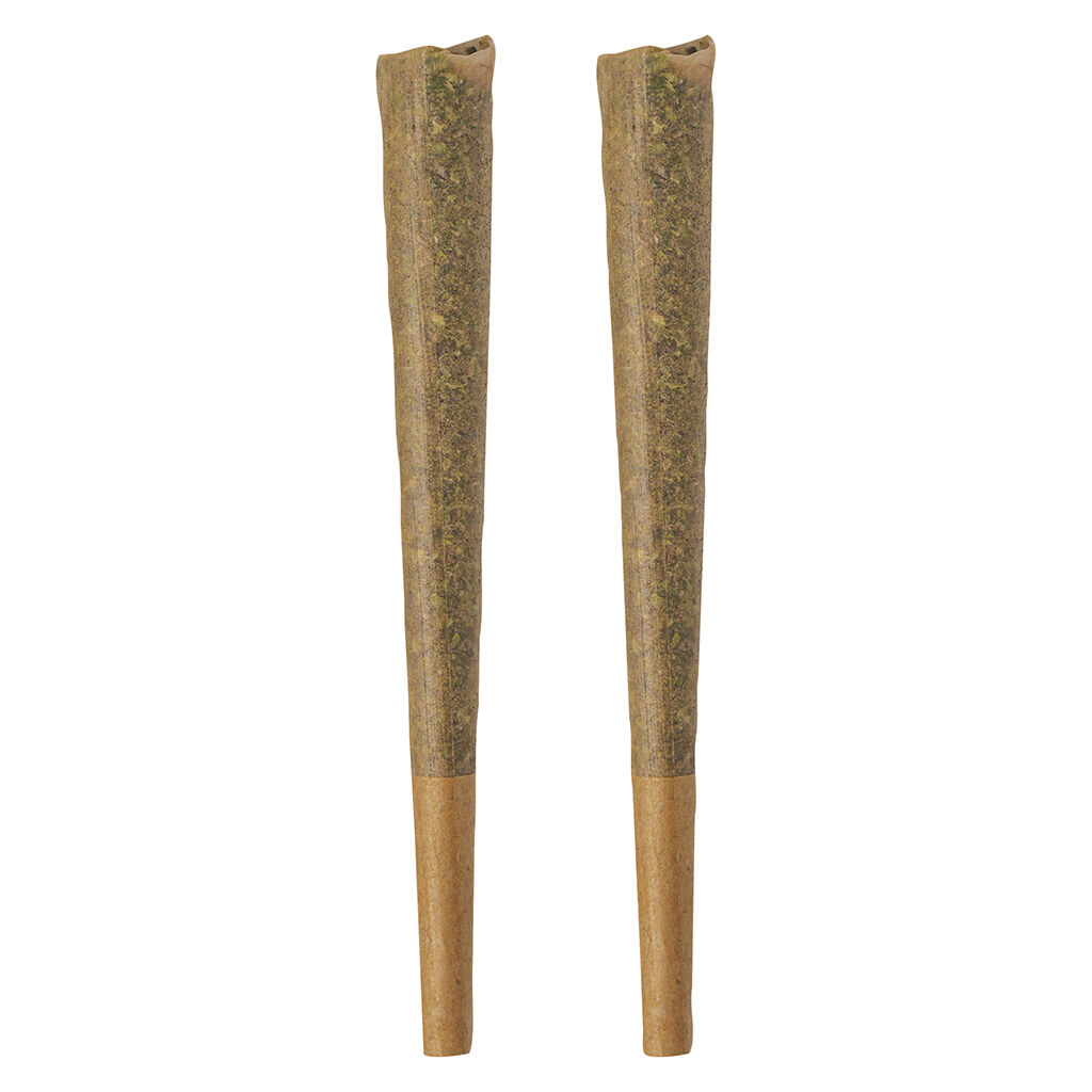BOLD - GLAZED Indica Pre-Roll - 2x1g