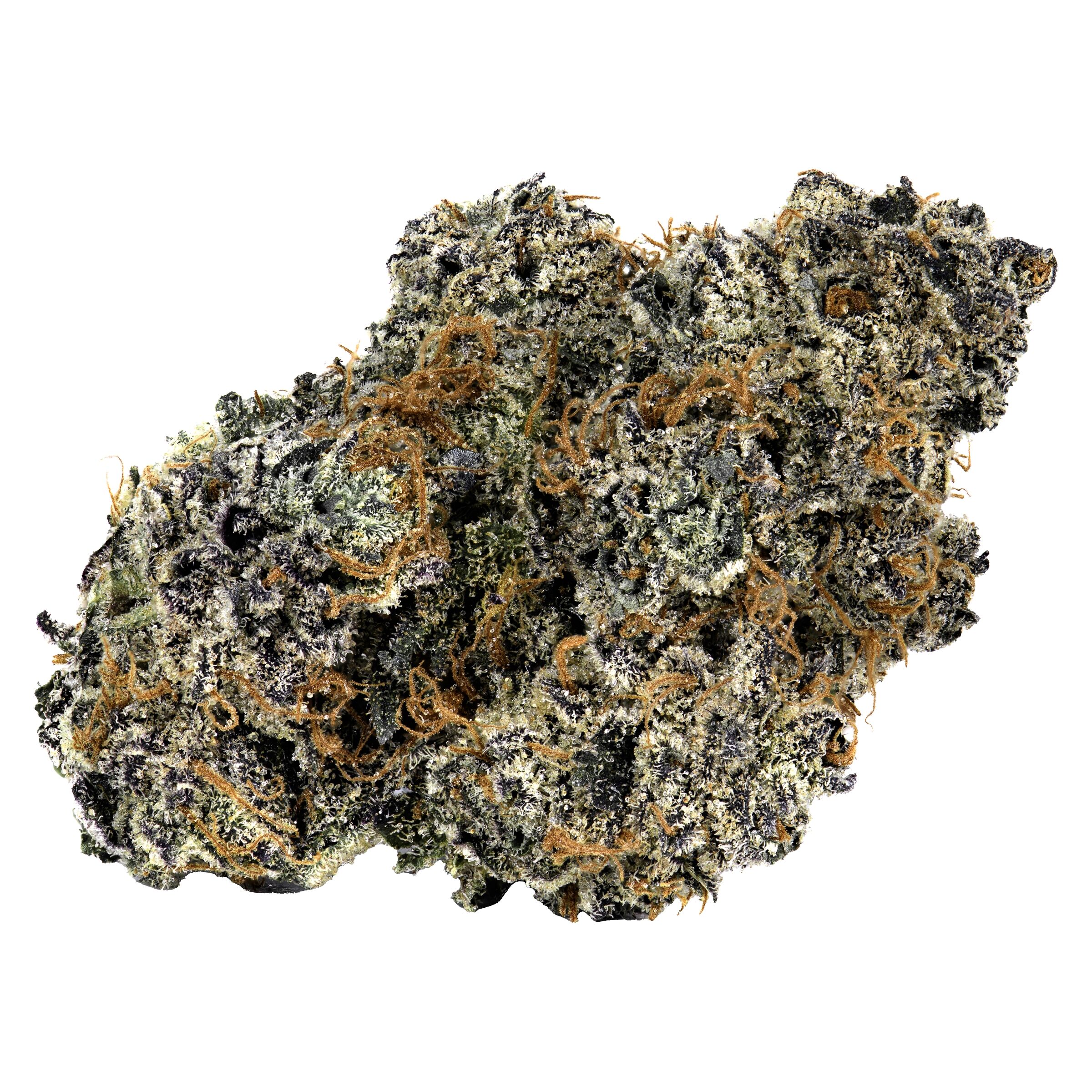 Cookies - TQ Sunrise