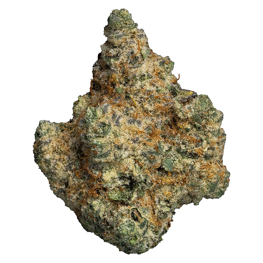 Cookies - Cut Rotational