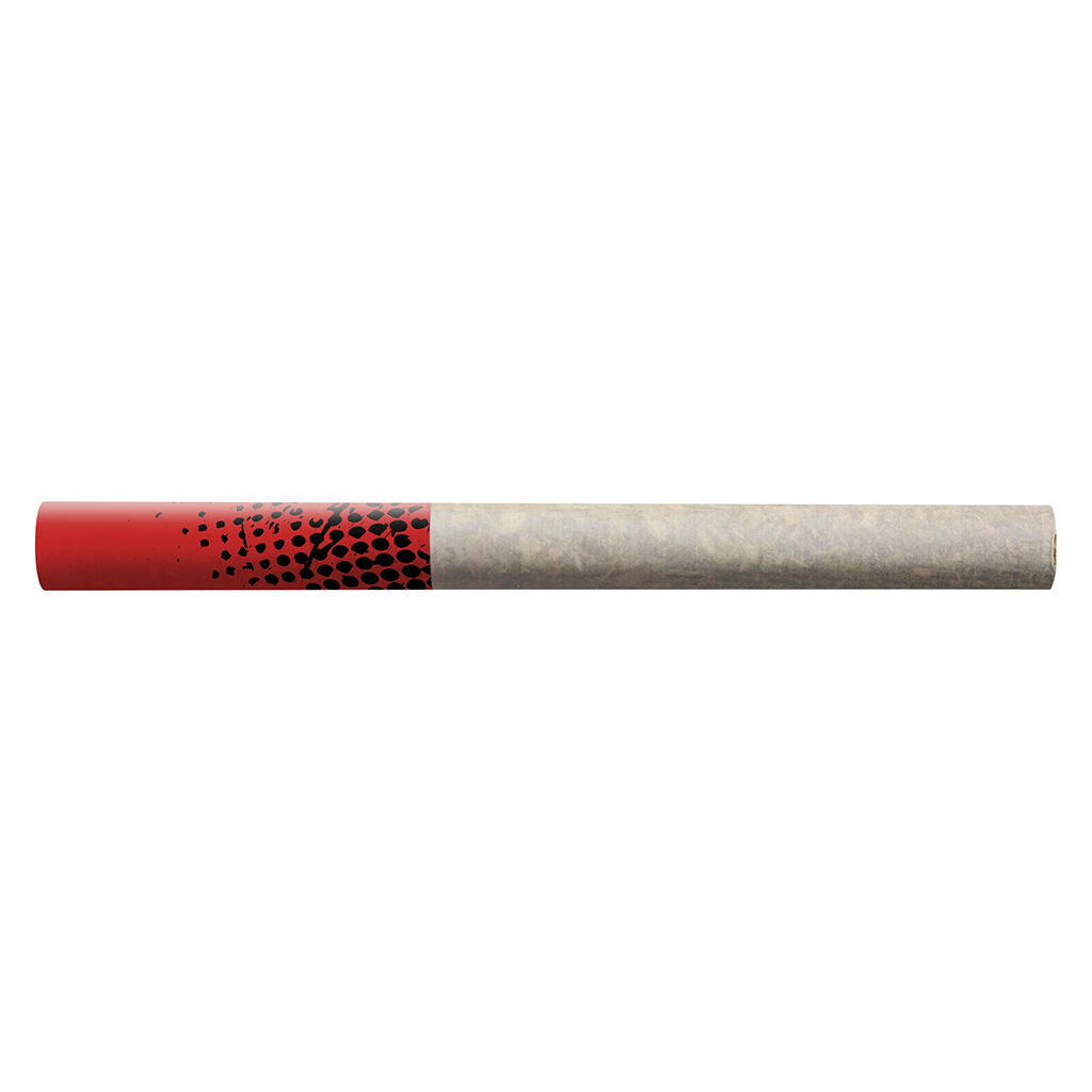Big Bag O' Buds - Tropicanna Tangie Tube Style Pre-Roll - Sativa - 20x0.4g