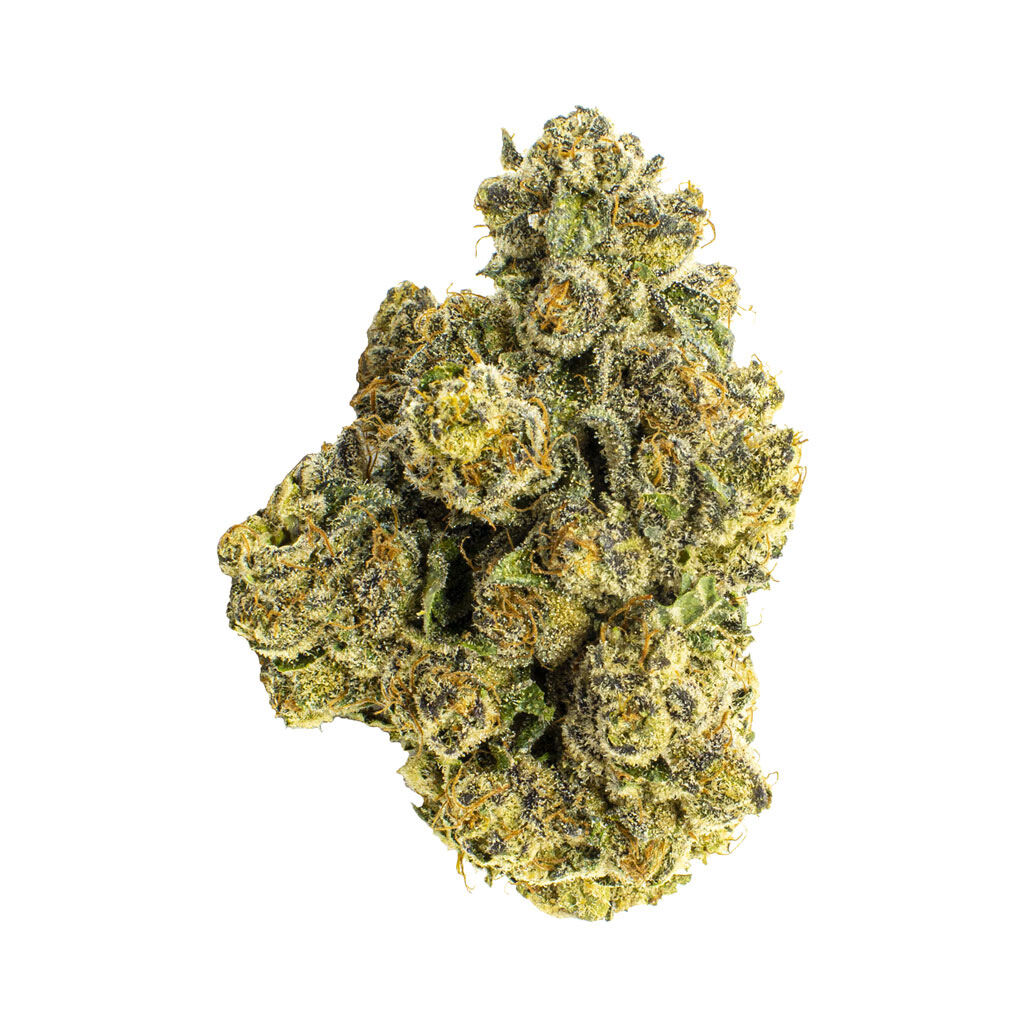 Cheddar - Stinky cheese