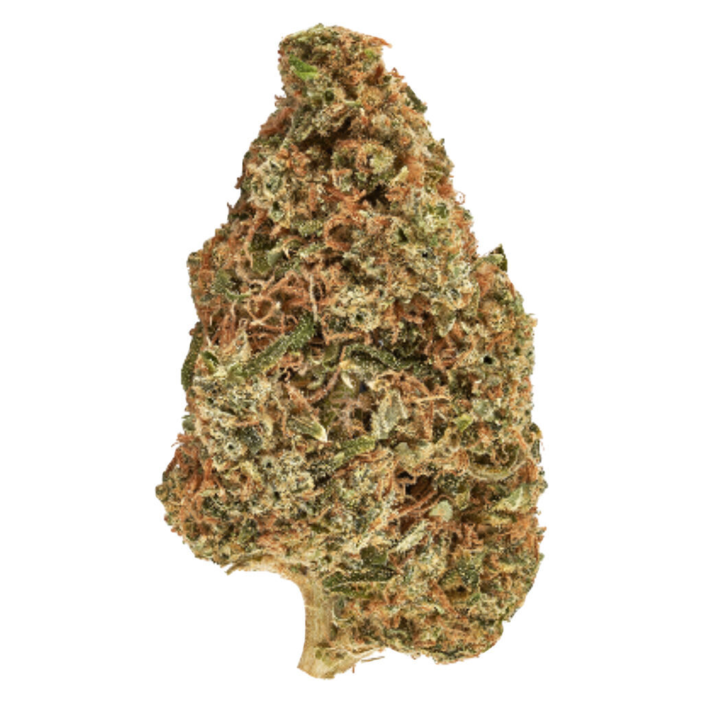 Carnaval Cannabis - Carnaval Kush