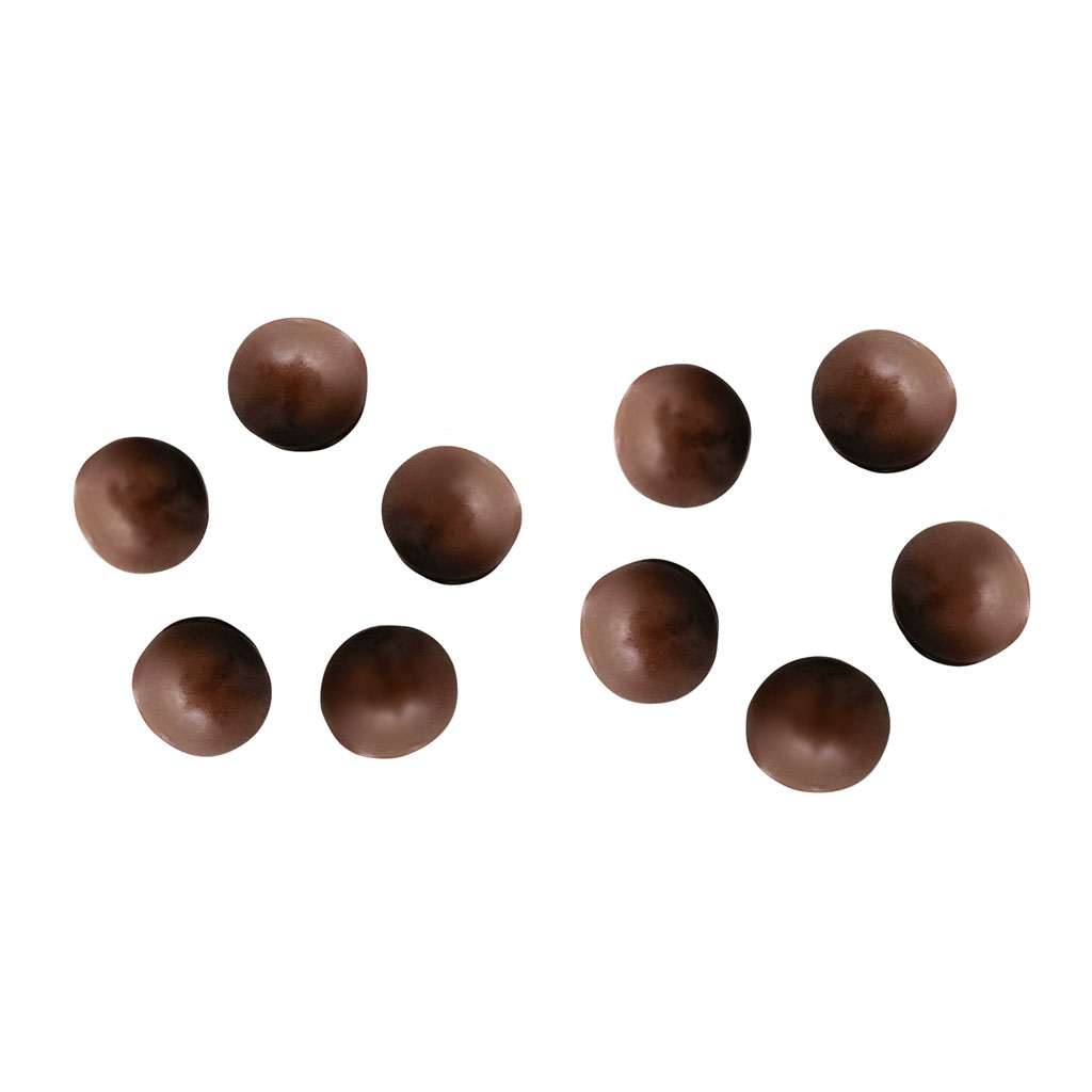 Gas Station - Chocolate + Peanuts - Blend - 10 pack