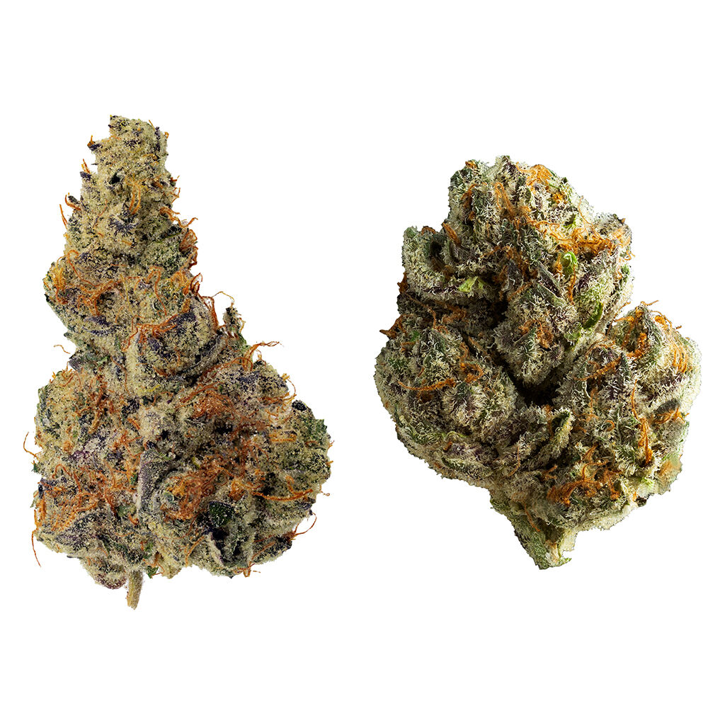 Dank Craft - Dynamic Duo