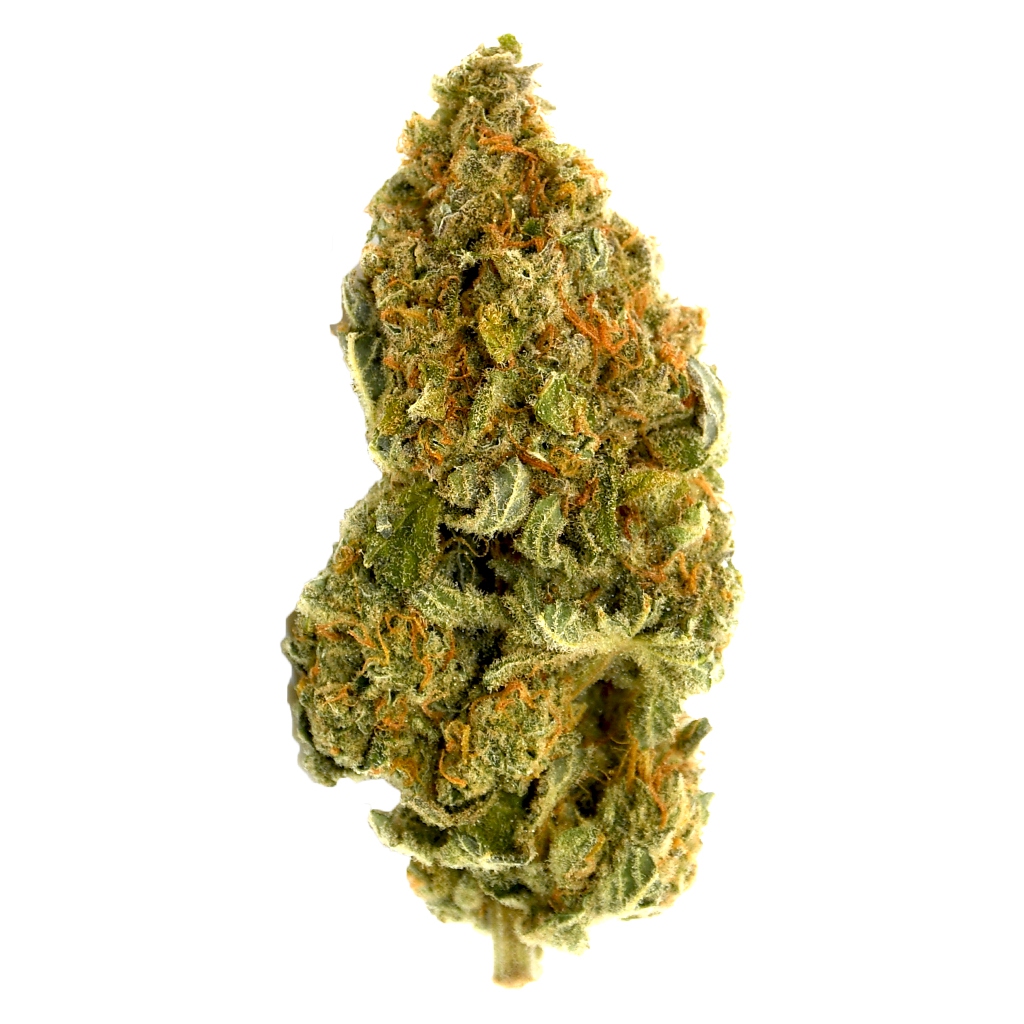 Canna Farms - Blue Dream