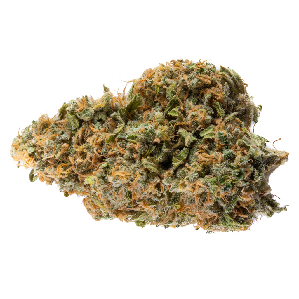SKOSHA - Dartmouth Kush