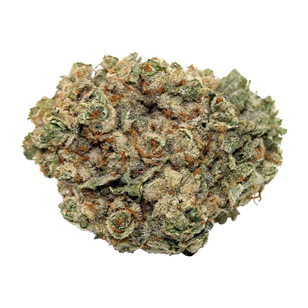 Steel City Green - HiFi 4G