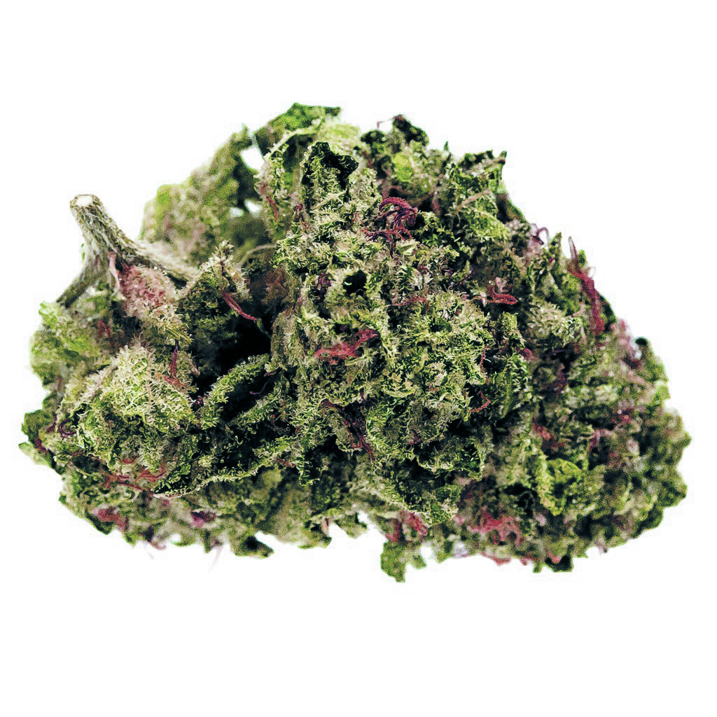 34 Street Seed Co. - ZKTLZ X FPOG