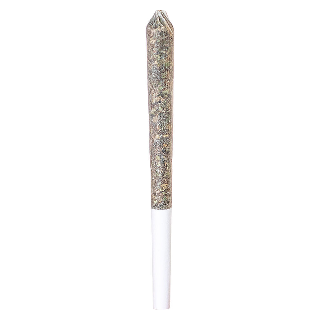 Station House - Northern Lights Pre-Roll Single - Indica - 1x0.5g