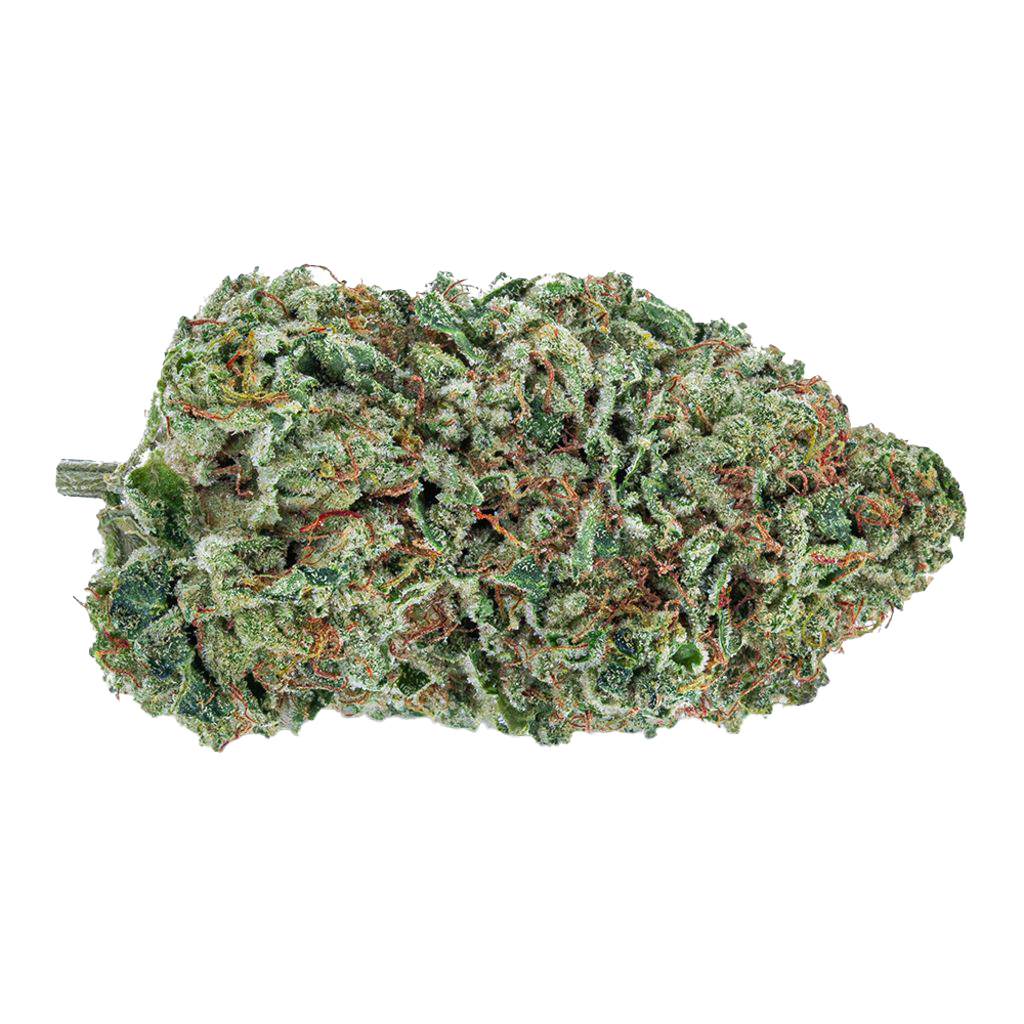The Green Organic Dutchman - TGOD - Organic Maple Kush
