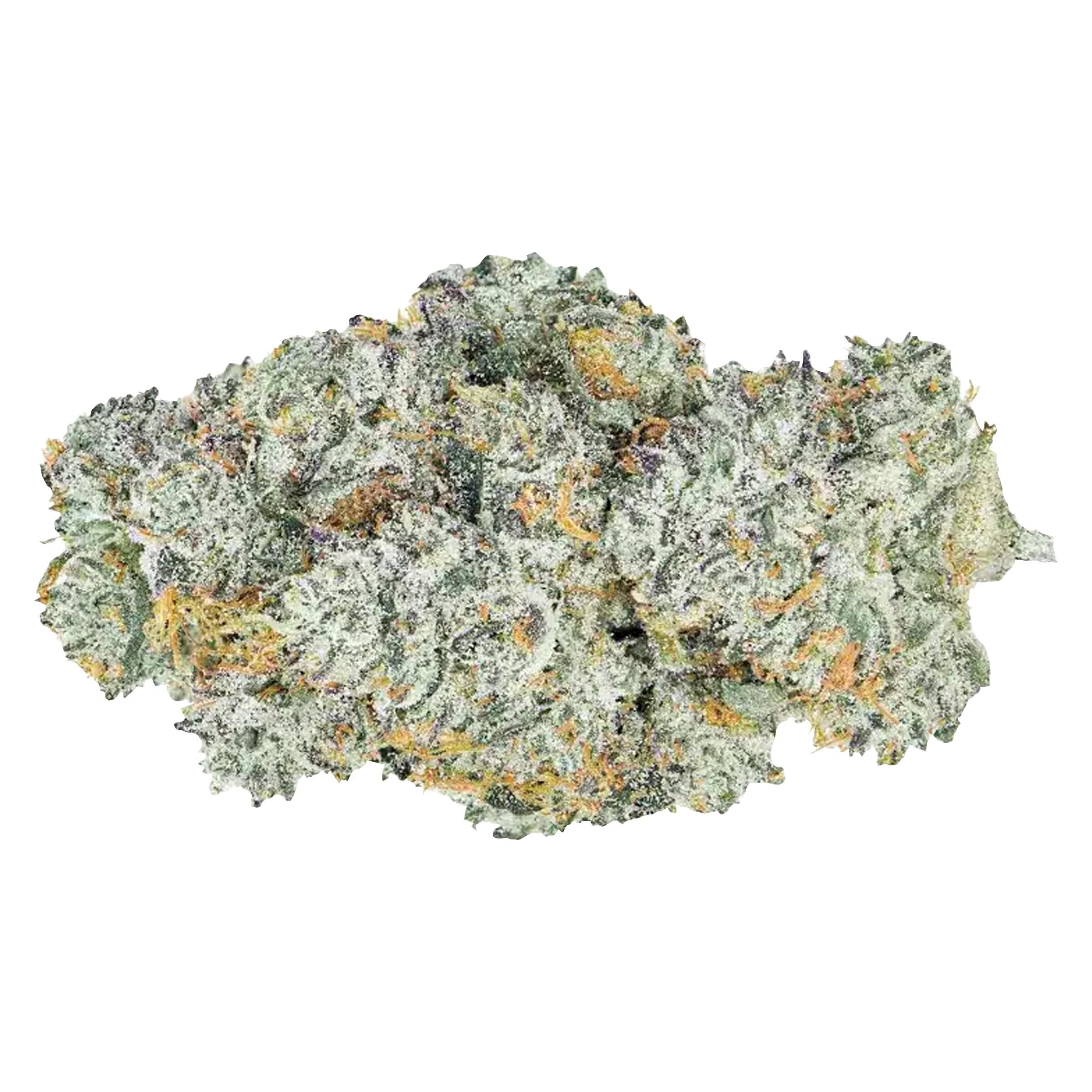 Coterie - Lemon Cherry Gelato