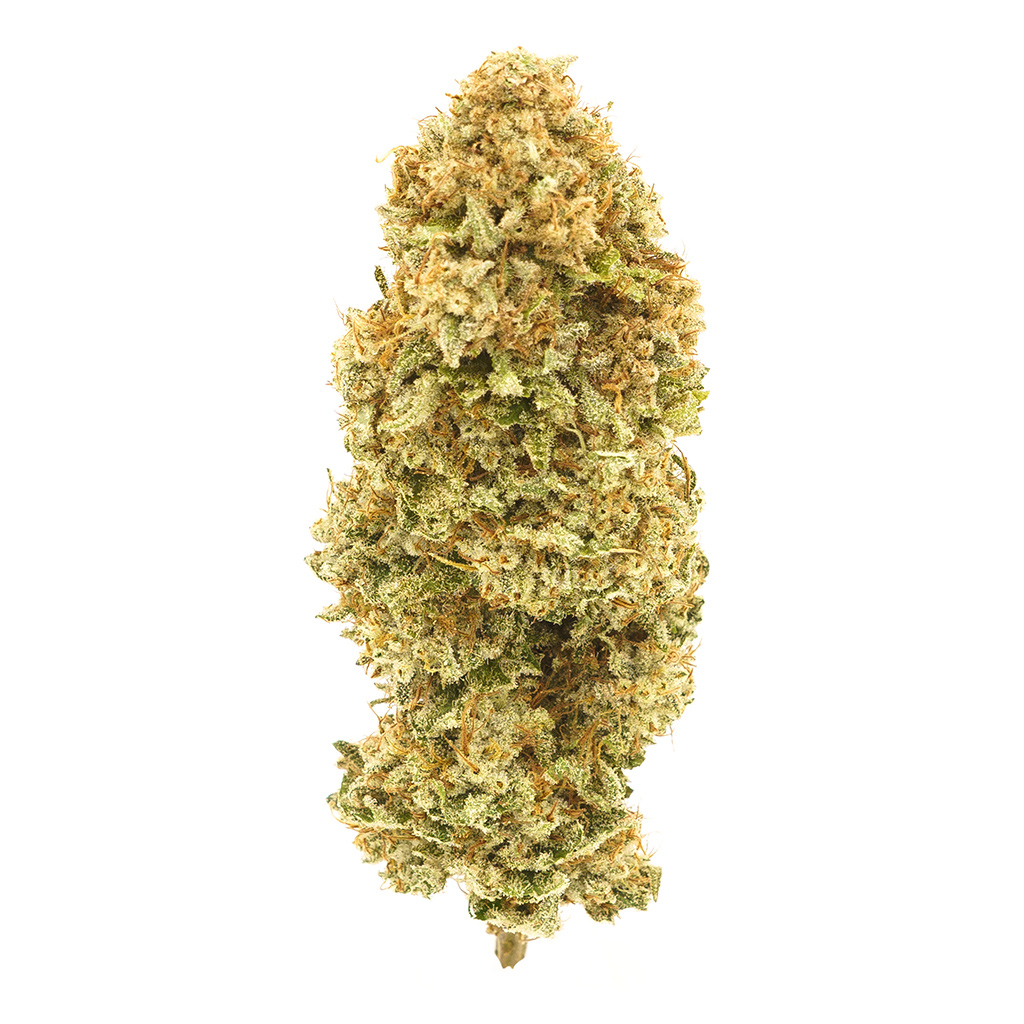 1964 - Organic Cherry AK