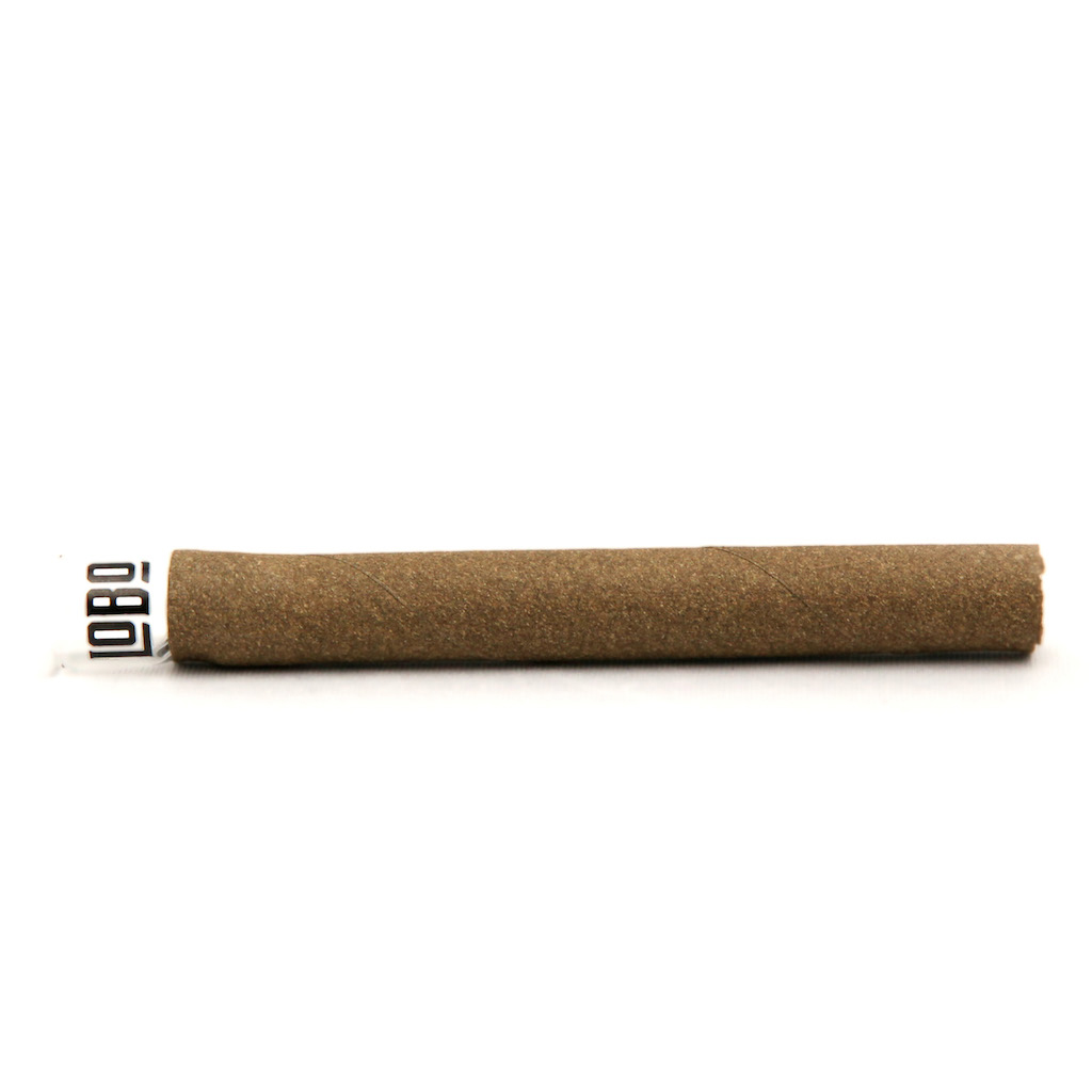 LOBO - Presidente Blunt - 1x2g