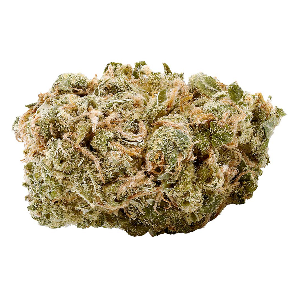 Haven St. Premium Cannabis - No. 515 Noisy Neighbour