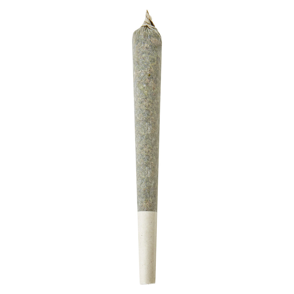 Shed Boyz - Lemon Rush Double Infused Pre-Roll - Hybrid - 1x1g