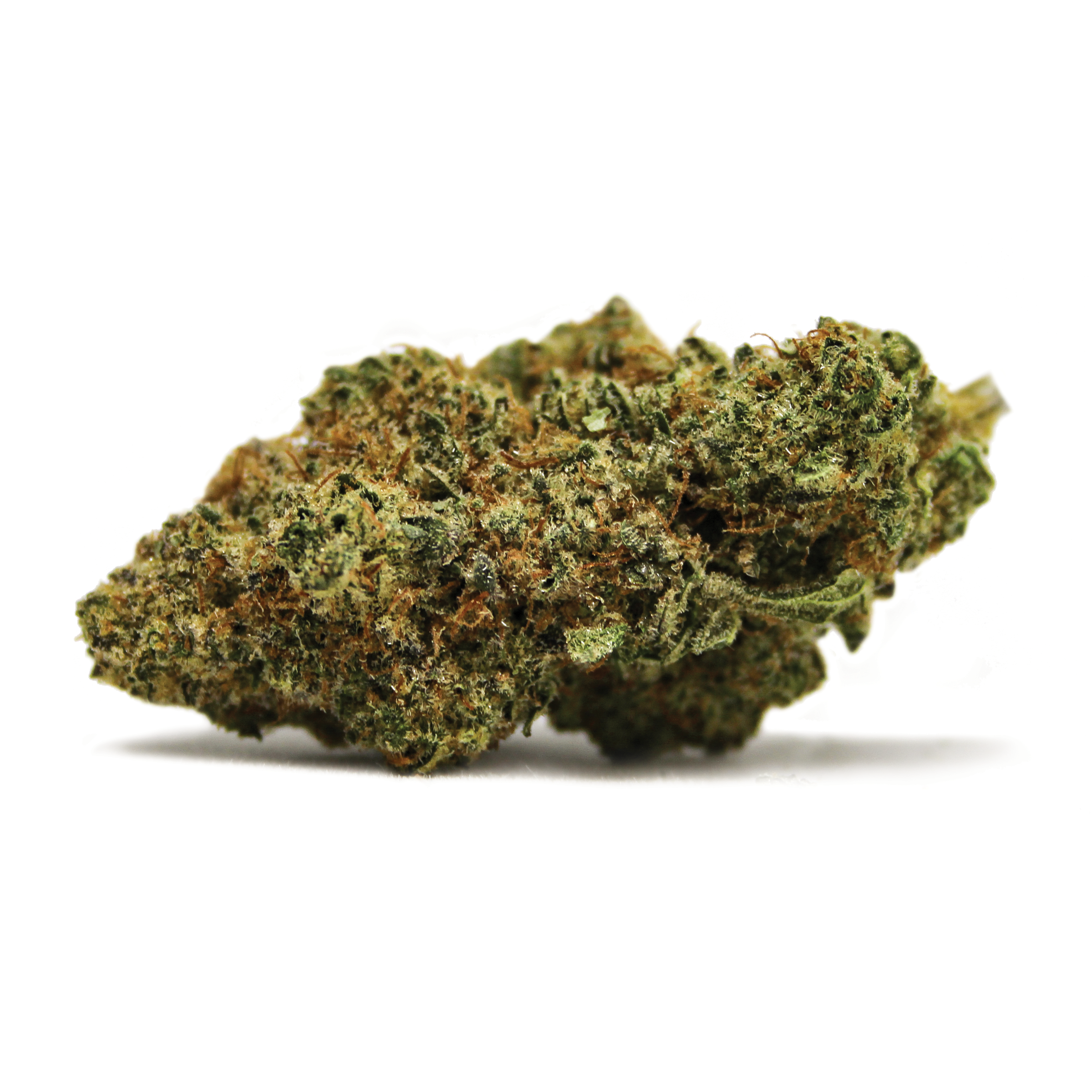 Spinach - Dancehall