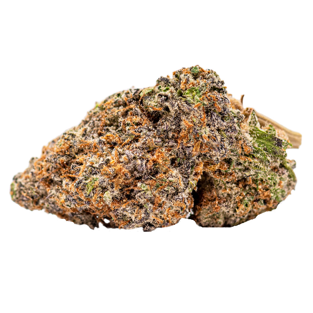 Coterie - Select Pheno #7
