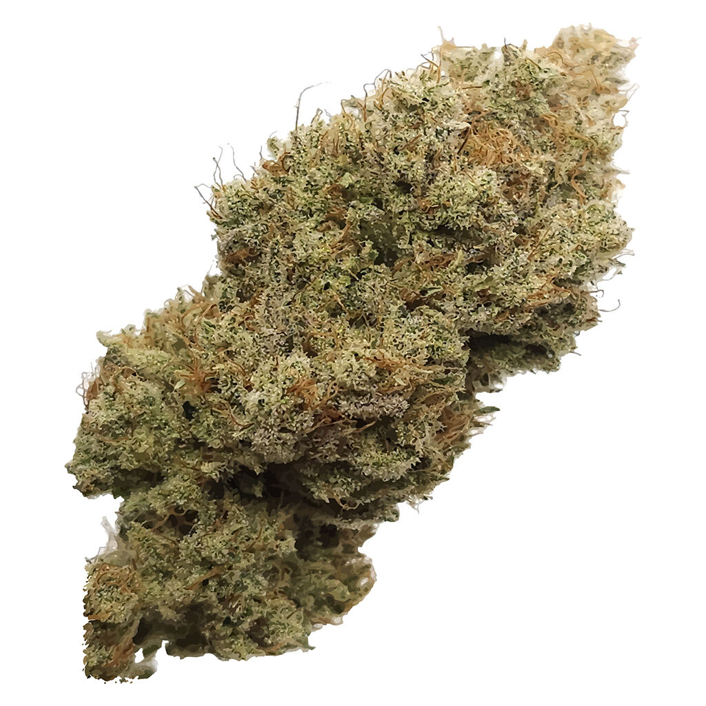 HWY 8 Cannabis - Lemons-Xplosion