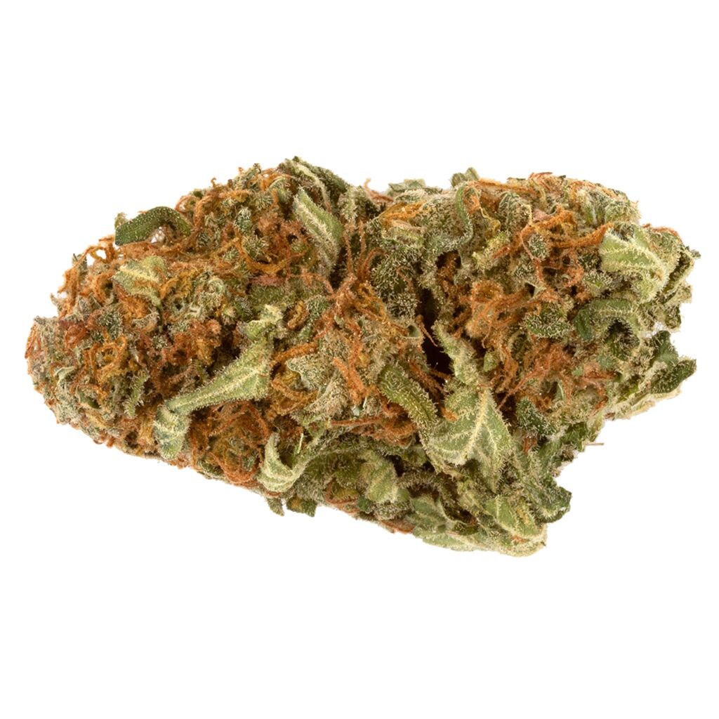 Stash City - Sensi Star