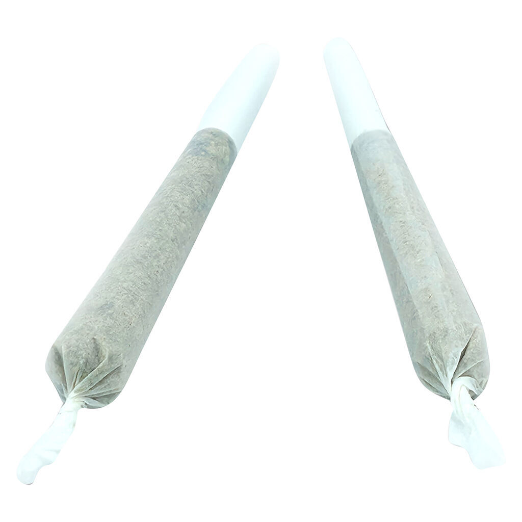 Truro - Bluenose Berry x Jealousy x Apples & Bananas Pre-Rolls - Hybrid - 2x1g