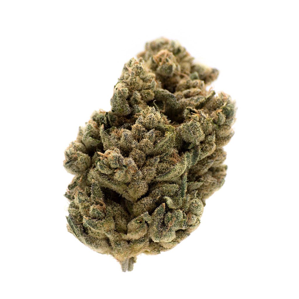 MTL Cannabis - Jungl' Cake