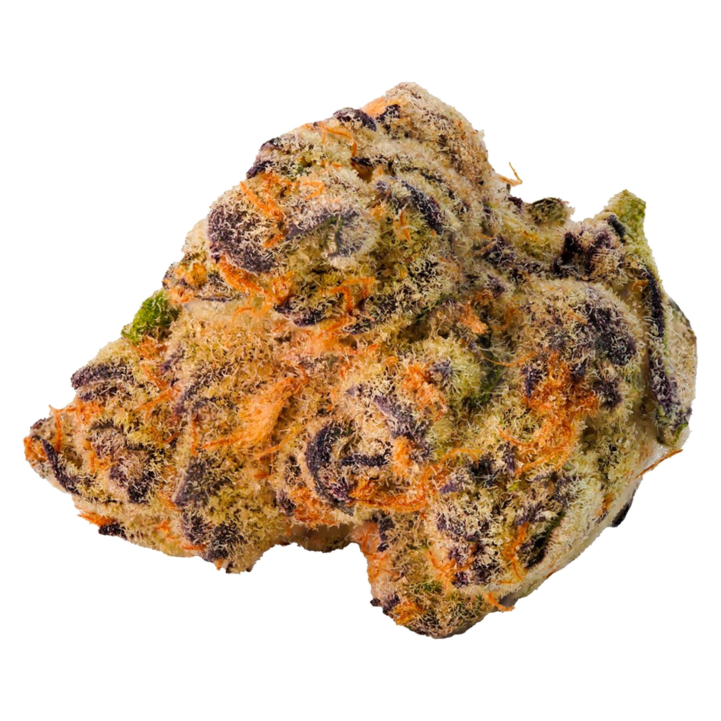 Highland Special - Paulander Purple Smalls