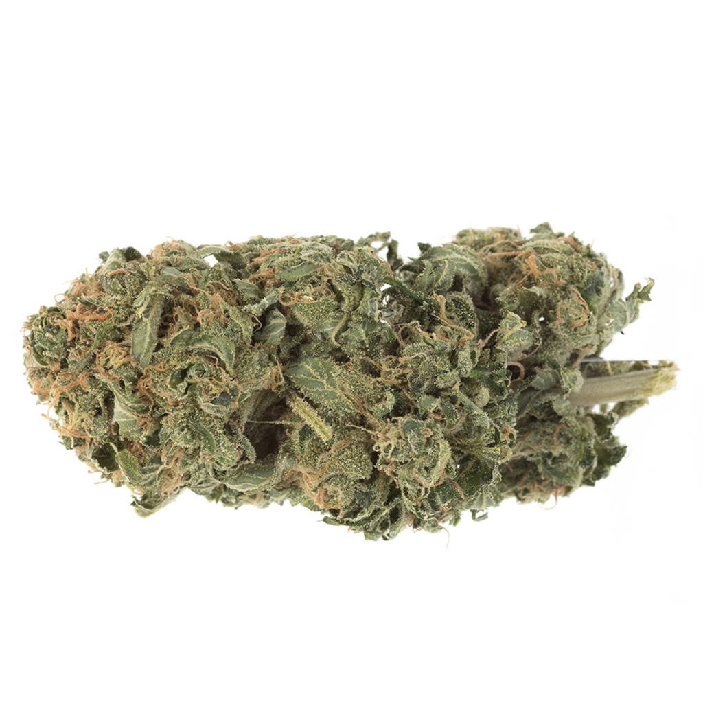 Station House - Ghost Train Haze