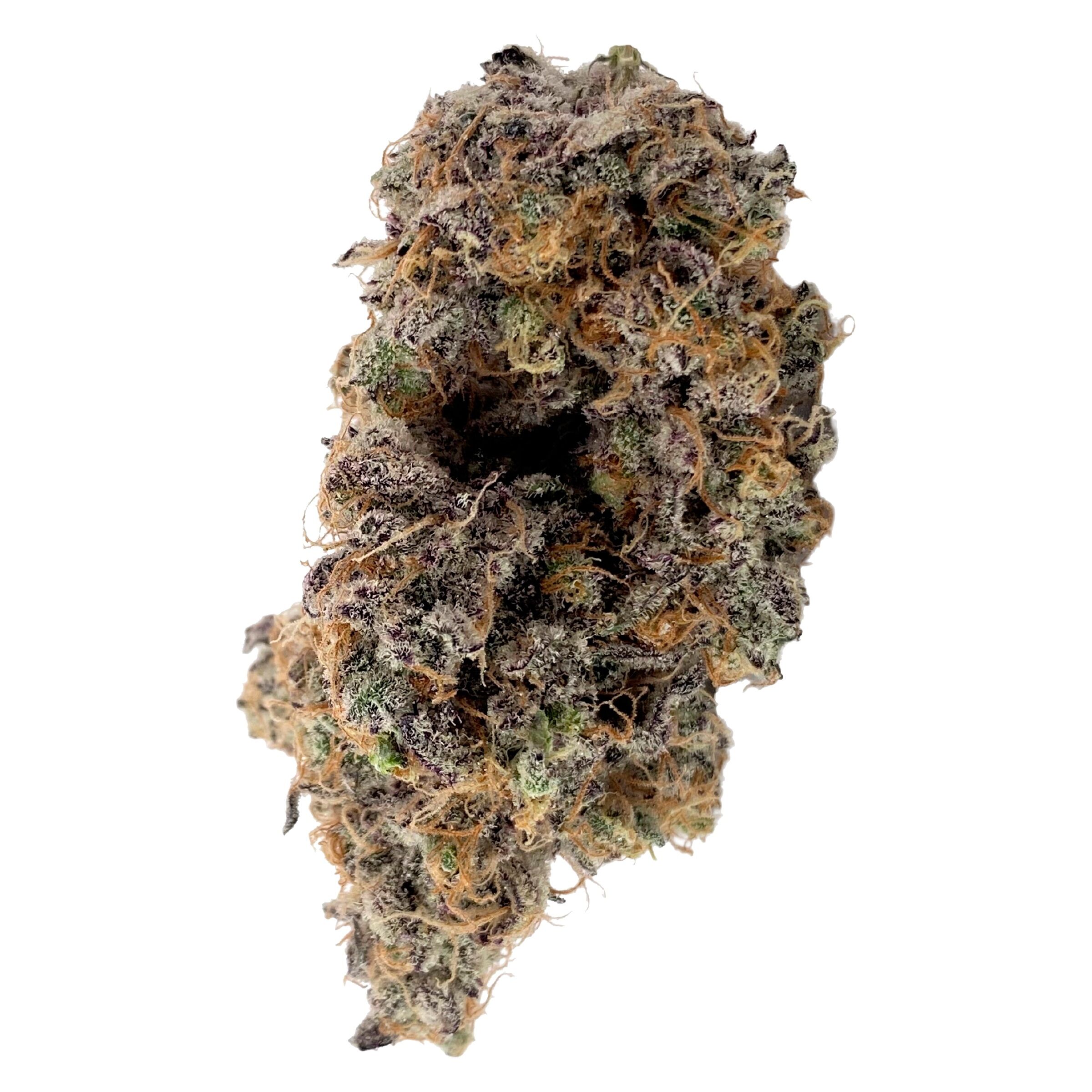 Your Dealer - Not The GovernMINT