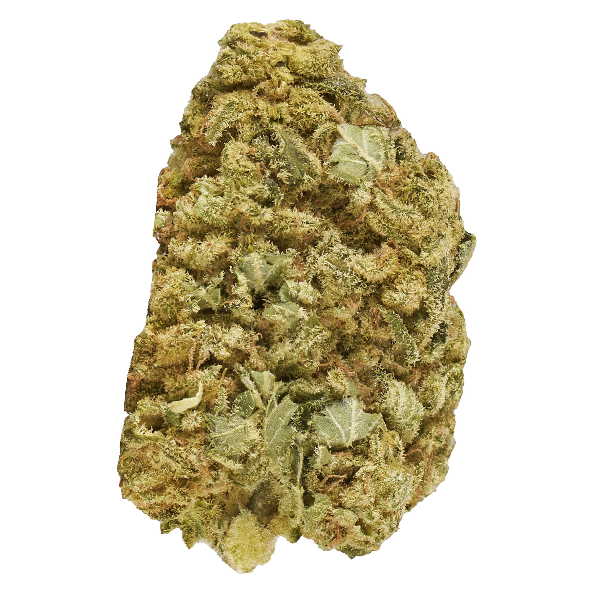 Good Supply - Master Mazar Kush