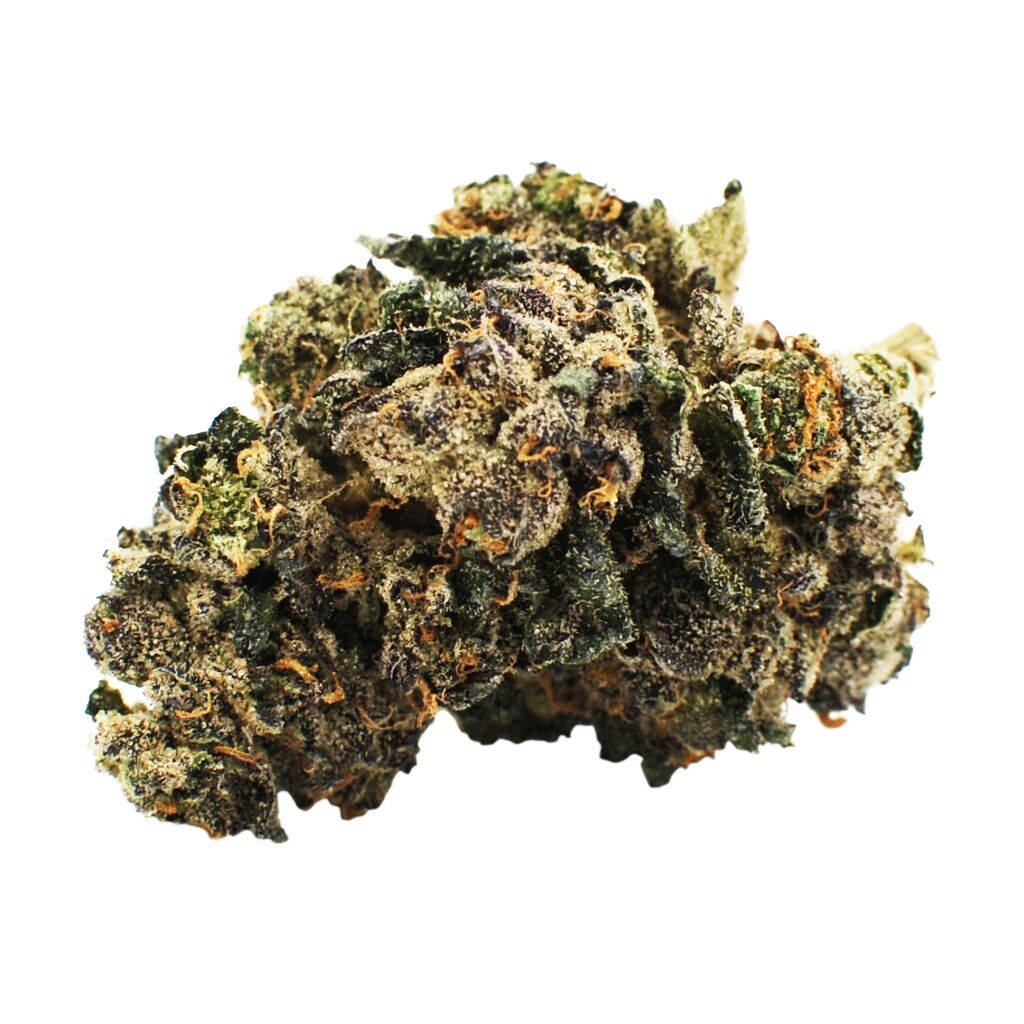 Citizen Stash - Sunset Sherbet