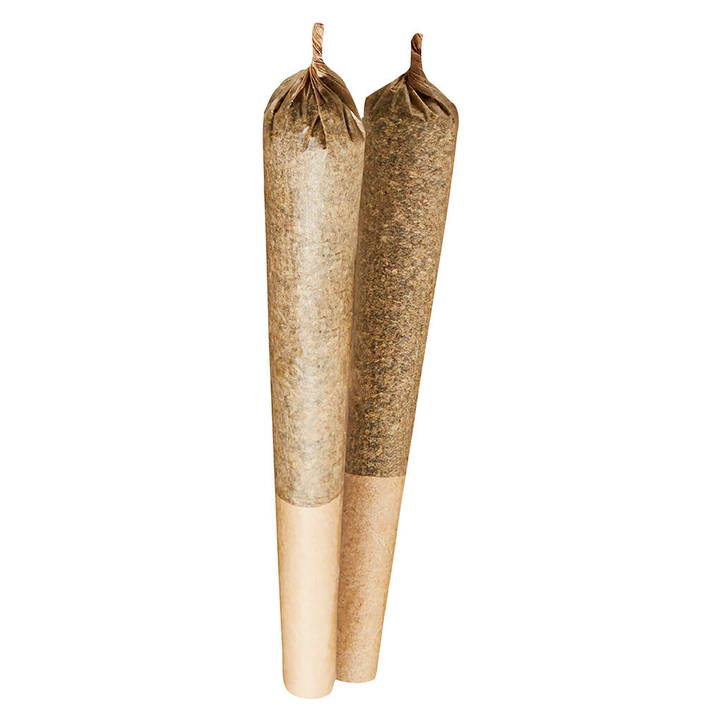Versus - BC Purple Kush Pre-Roll - Indica - 2x1g