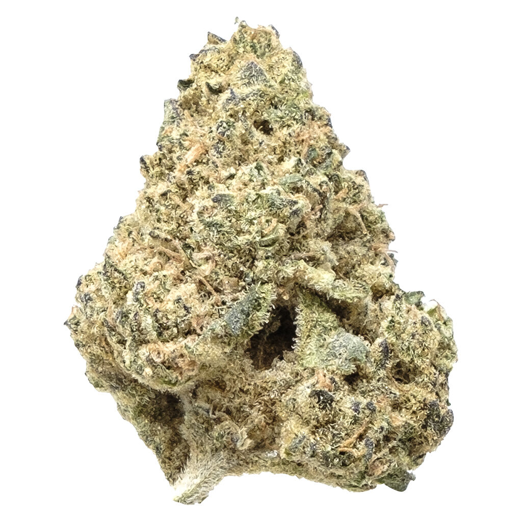 Crooked Dory - AAA+ Sativa