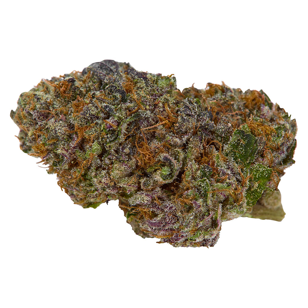 HOLOGRAM - White Widow