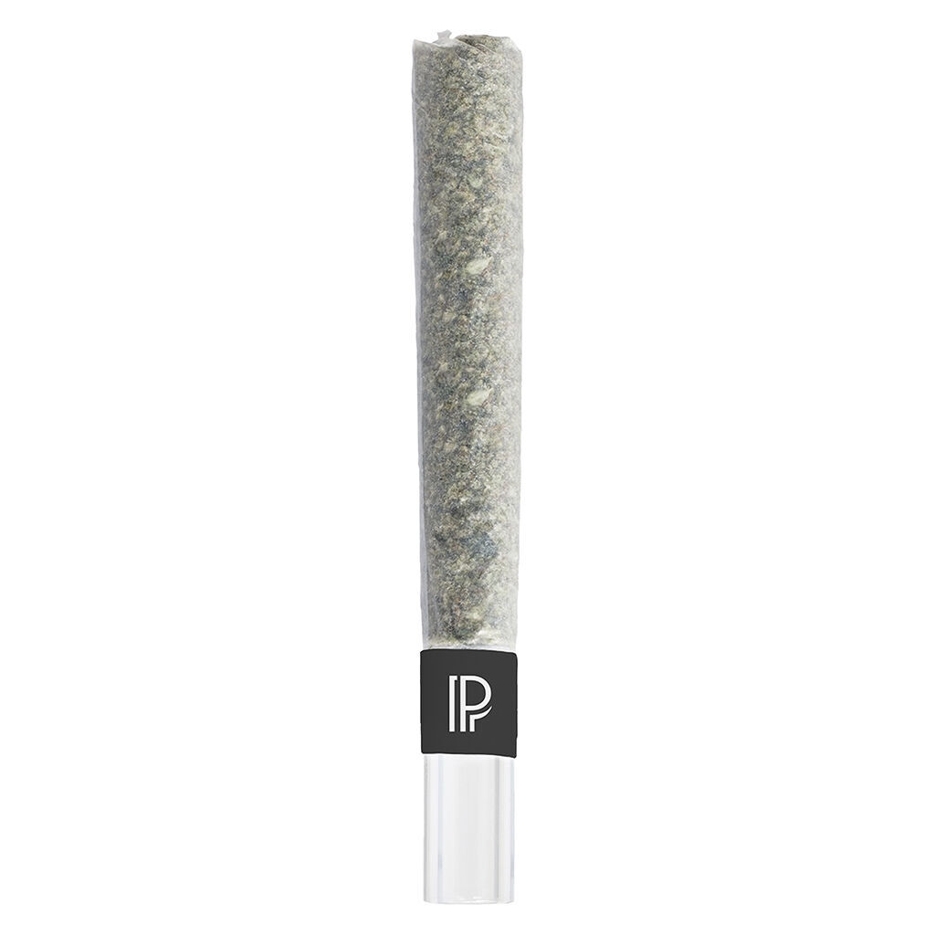 Pistol and Paris - Bubble Hash Infused Pre-Roll - Indica - 1x1g