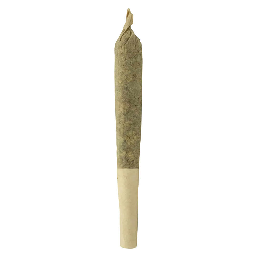 Khushi - Daaku Infused Pre-roll - Hybrid - 1x0.5g